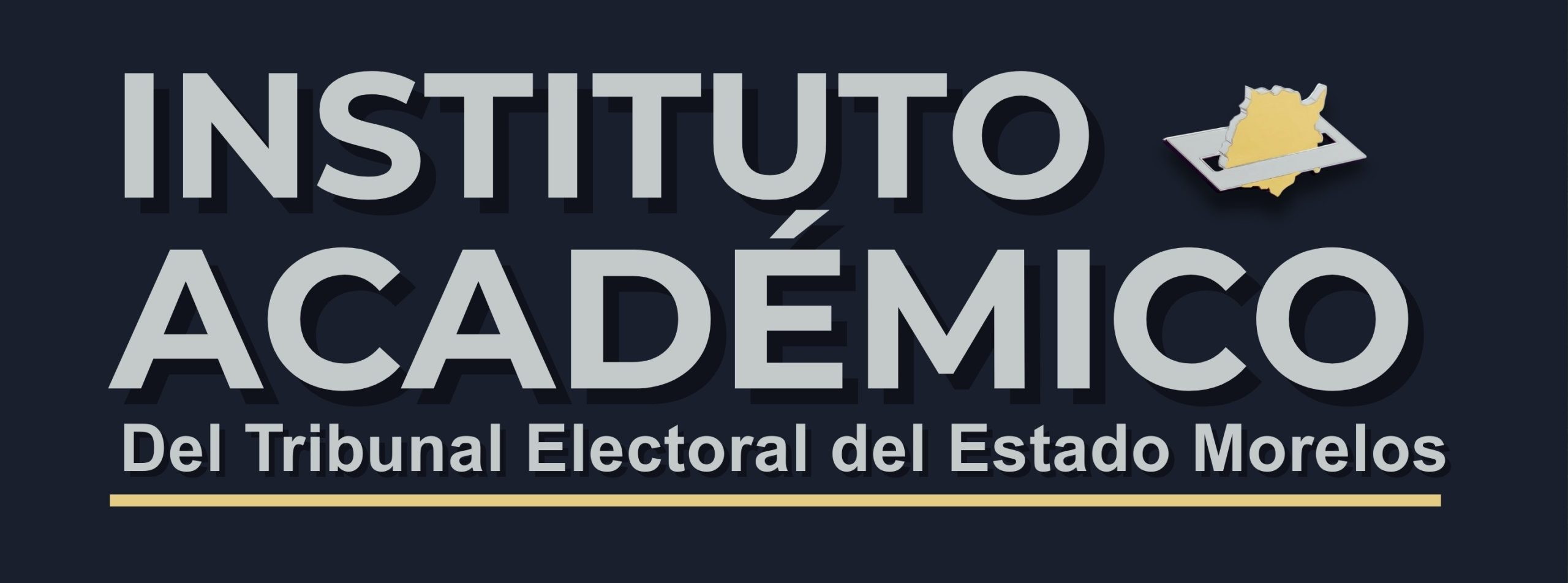Instituto Académico de Investigación y Capacitación Electoral